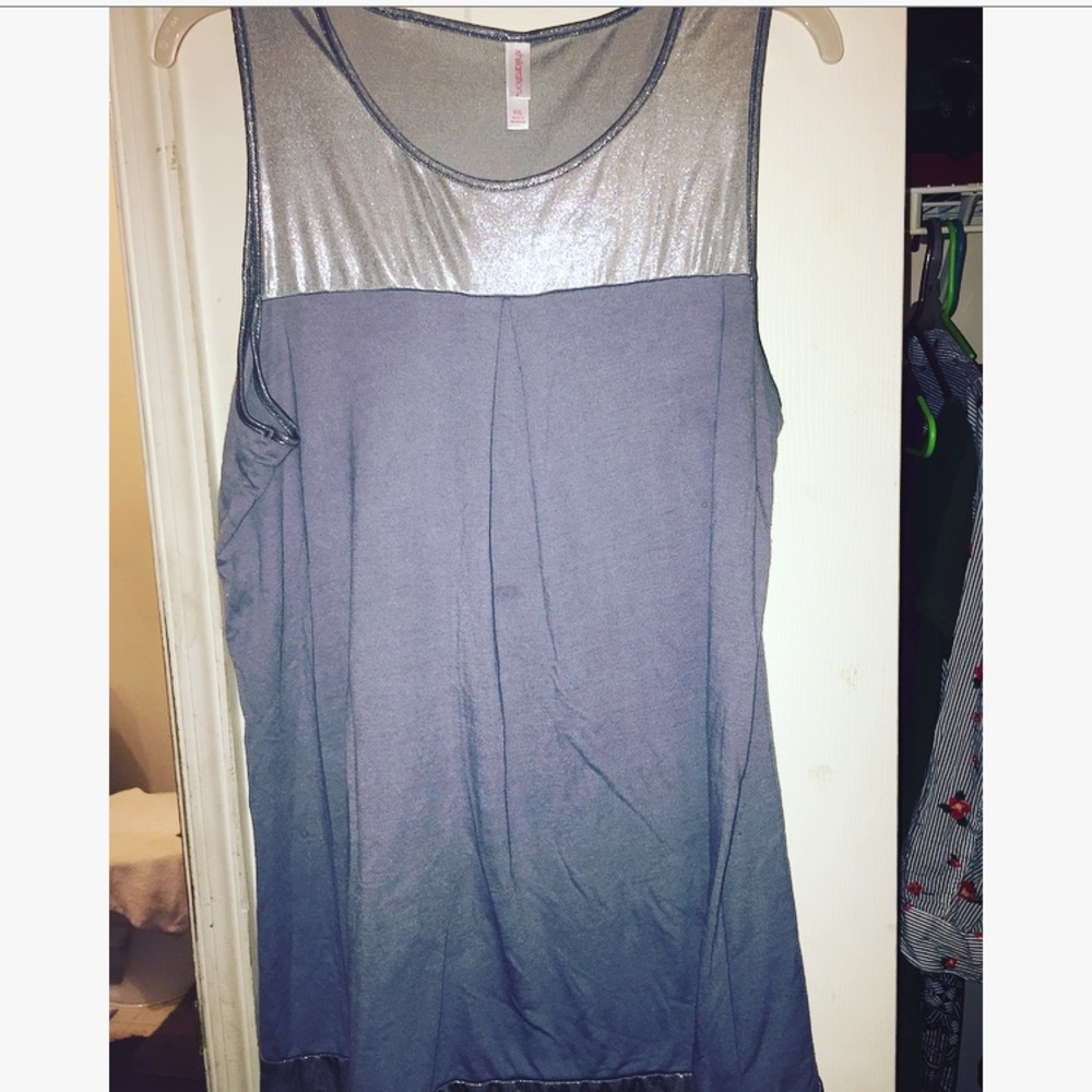 Shimmering Gray Top (plus size)